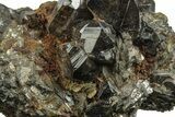 Gemmy Cassiterite Crystals on Arsenopyrite - Viloco Mine, Bolivia #249652-2